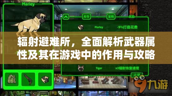辐射避难所，全面解析武器属性及其在游戏中的作用与攻略