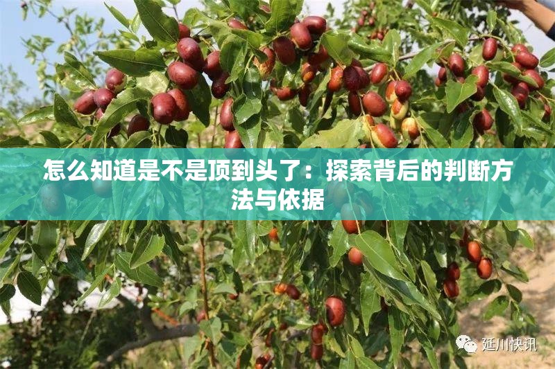 怎么知道是不是顶到头了：探索背后的判断方法与依据