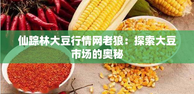仙踪林大豆行情网老狼：探索大豆市场的奥秘