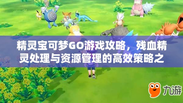 精灵宝可梦GO游戏攻略，残血精灵处理与资源管理的高效策略之道