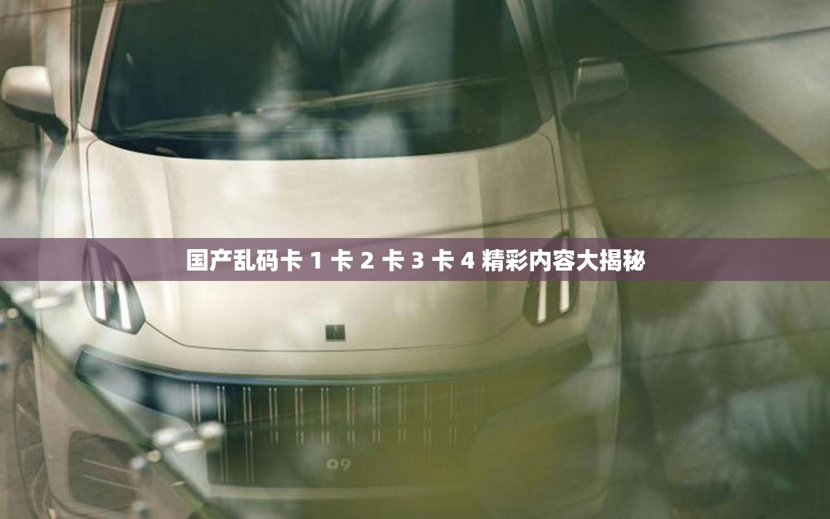 国产乱码卡 1 卡 2 卡 3 卡 4 精彩内容大揭秘