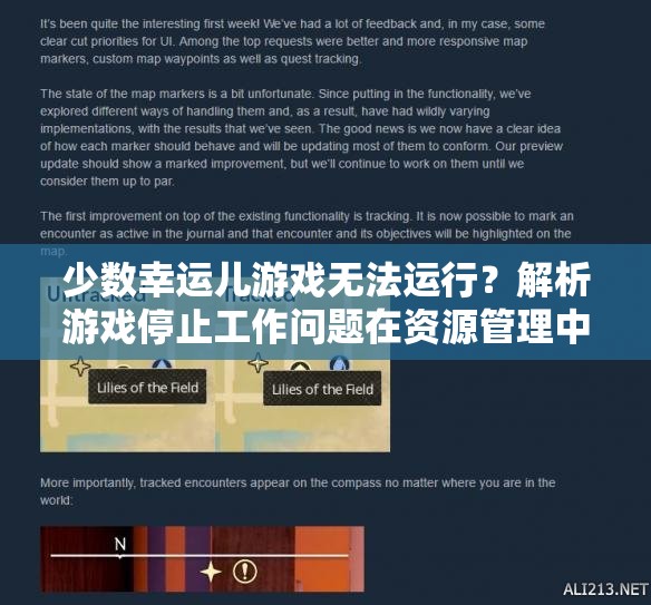 少数幸运儿游戏无法运行？解析游戏停止工作问题在资源管理中的重要性及解决策略