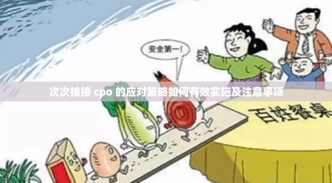 次次挨揍 cpo 的应对策略如何有效实施及注意事项