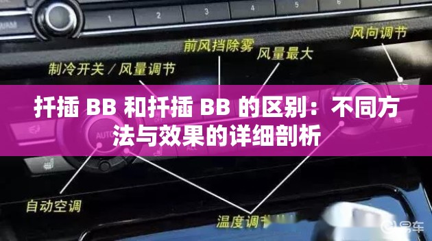 扦插 BB 和扦插 BB 的区别：不同方法与效果的详细剖析
