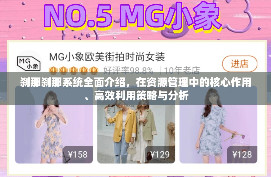 刹那刹那系统全面介绍，在资源管理中的核心作用、高效利用策略与分析