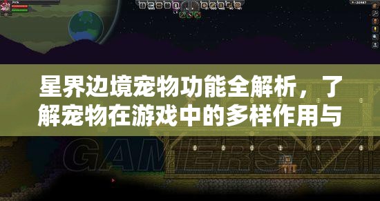 星界边境宠物功能全解析，了解宠物在游戏中的多样作用与价值