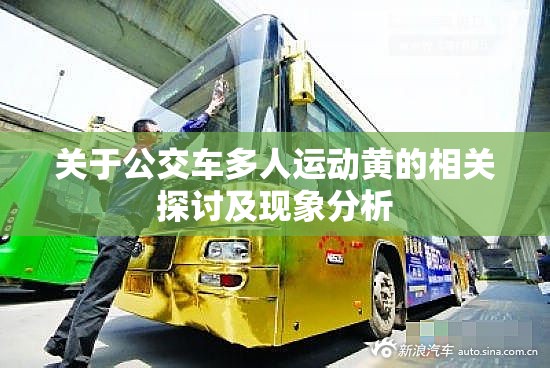 关于公交车多人运动黄的相关探讨及现象分析