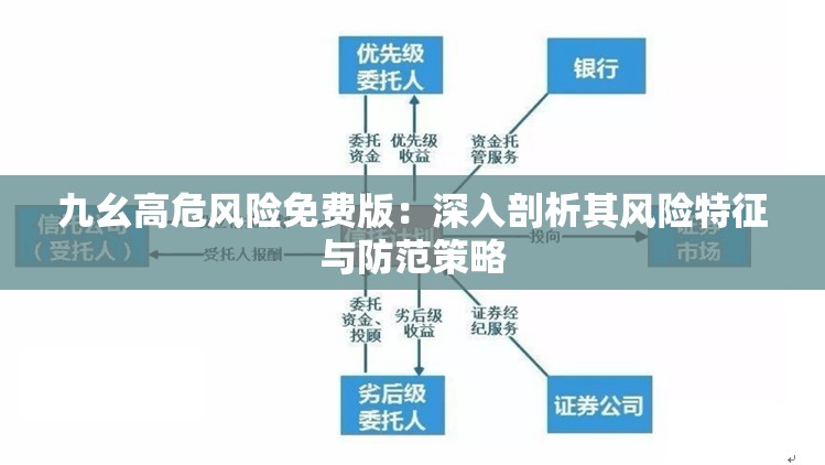九幺高危风险免费版：深入剖析其风险特征与防范策略