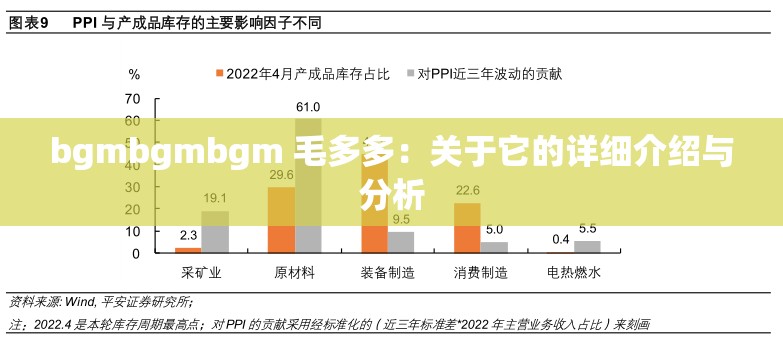 bgmbgmbgm 毛多多：关于它的详细介绍与分析