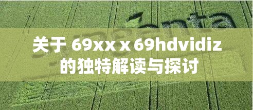 关于 69xxⅹ69hdvidiz 的独特解读与探讨