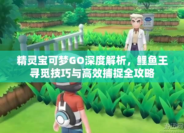 精灵宝可梦GO深度解析，鲤鱼王寻觅技巧与高效捕捉全攻略