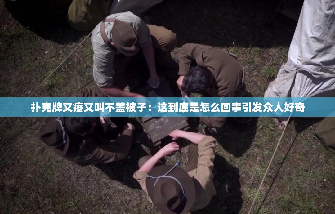 扑克牌又疼又叫不盖被子：这到底是怎么回事引发众人好奇