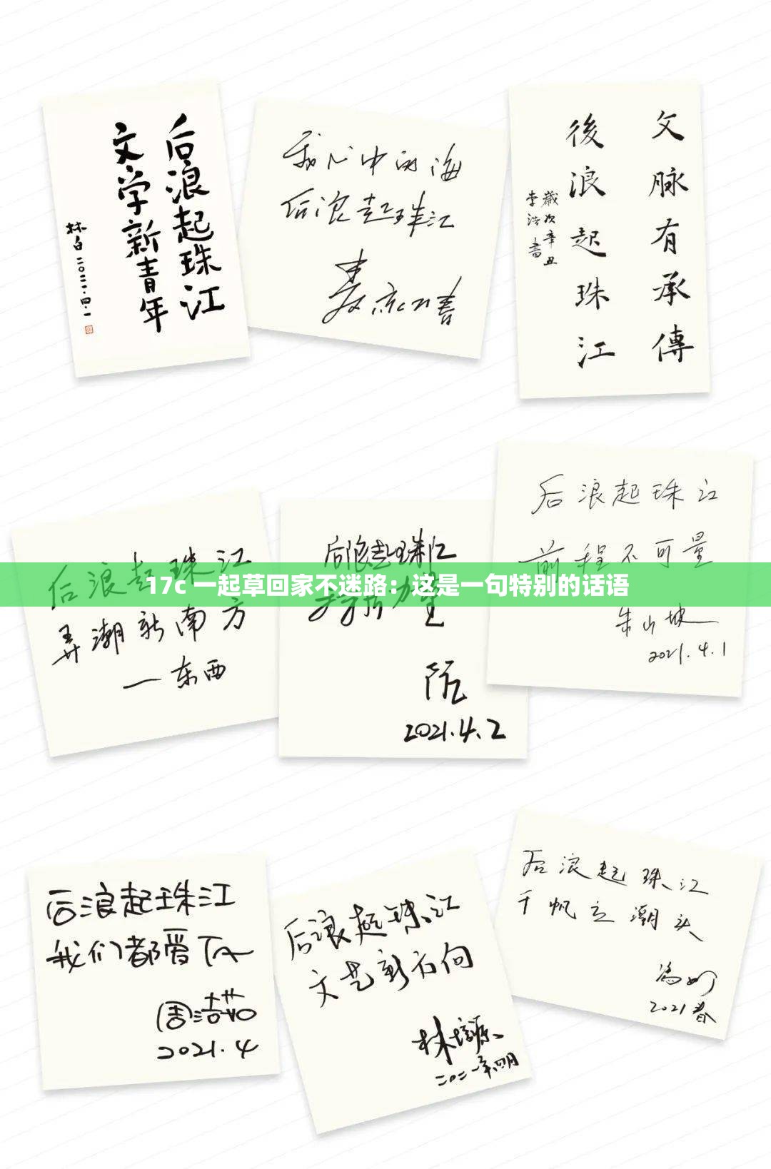 17c 一起草回家不迷路：这是一句特别的话语