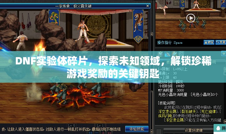 DNF实验体碎片，探索未知领域，解锁珍稀游戏奖励的关键钥匙
