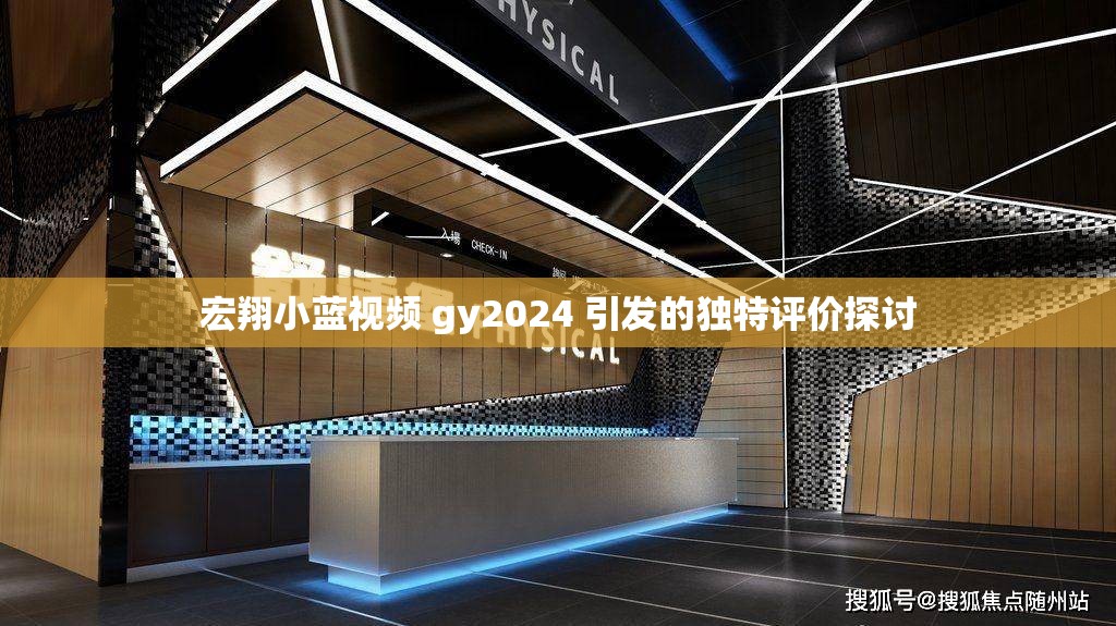 宏翔小蓝视频 gy2024 引发的独特评价探讨