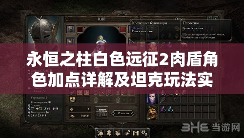 永恒之柱白色远征2肉盾角色加点详解及坦克玩法实战攻略