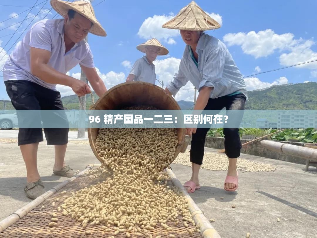 96 精产国品一二三：区别何在？