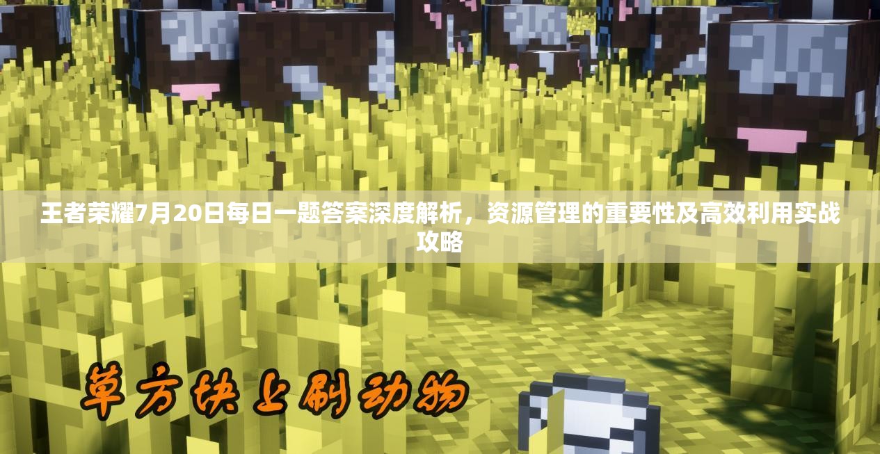 王者荣耀7月20日每日一题答案深度解析，资源管理的重要性及高效利用实战攻略