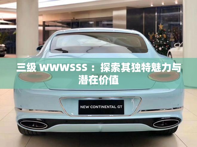三级 WWWSSS ：探索其独特魅力与潜在价值