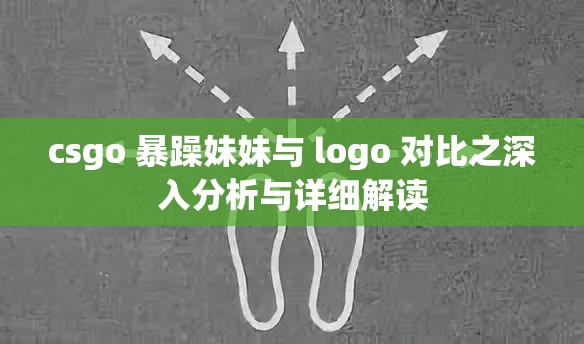 csgo 暴躁妹妹与 logo 对比之深入分析与详细解读