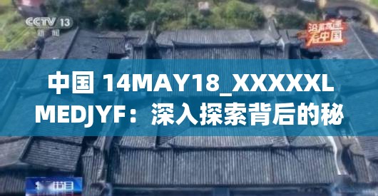 中国 14MAY18_XXXXXLMEDJYF：深入探索背后的秘密与价值