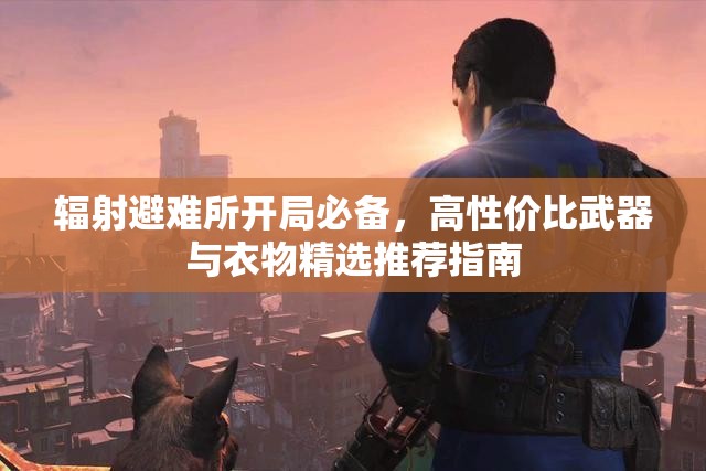 辐射避难所开局必备，高性价比武器与衣物精选推荐指南