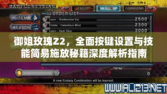 御姐玫瑰Z2，全面按键设置与技能简易施放秘籍深度解析指南