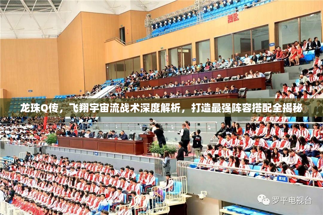 龙珠Q传，飞翔宇宙流战术深度解析，打造最强阵容搭配全揭秘