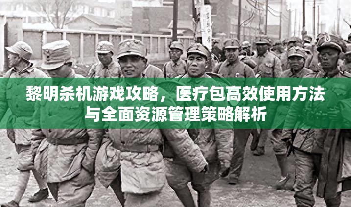 黎明杀机游戏攻略，医疗包高效使用方法与全面资源管理策略解析