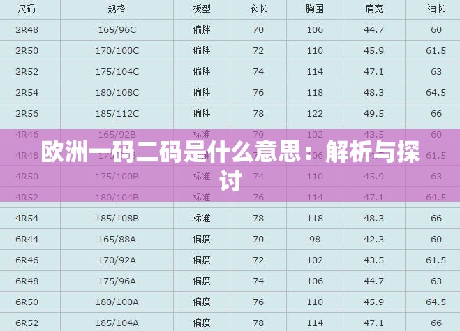 欧洲一码二码是什么意思：解析与探讨