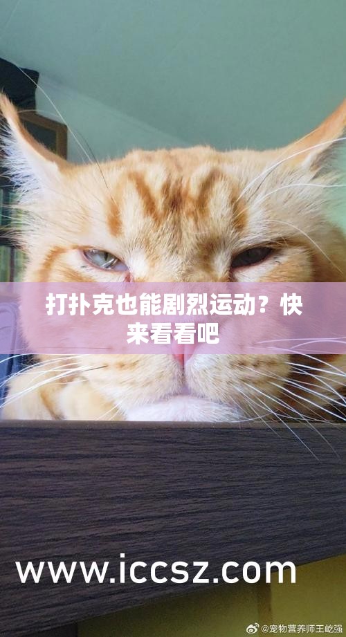 打扑克也能剧烈运动？快来看看吧