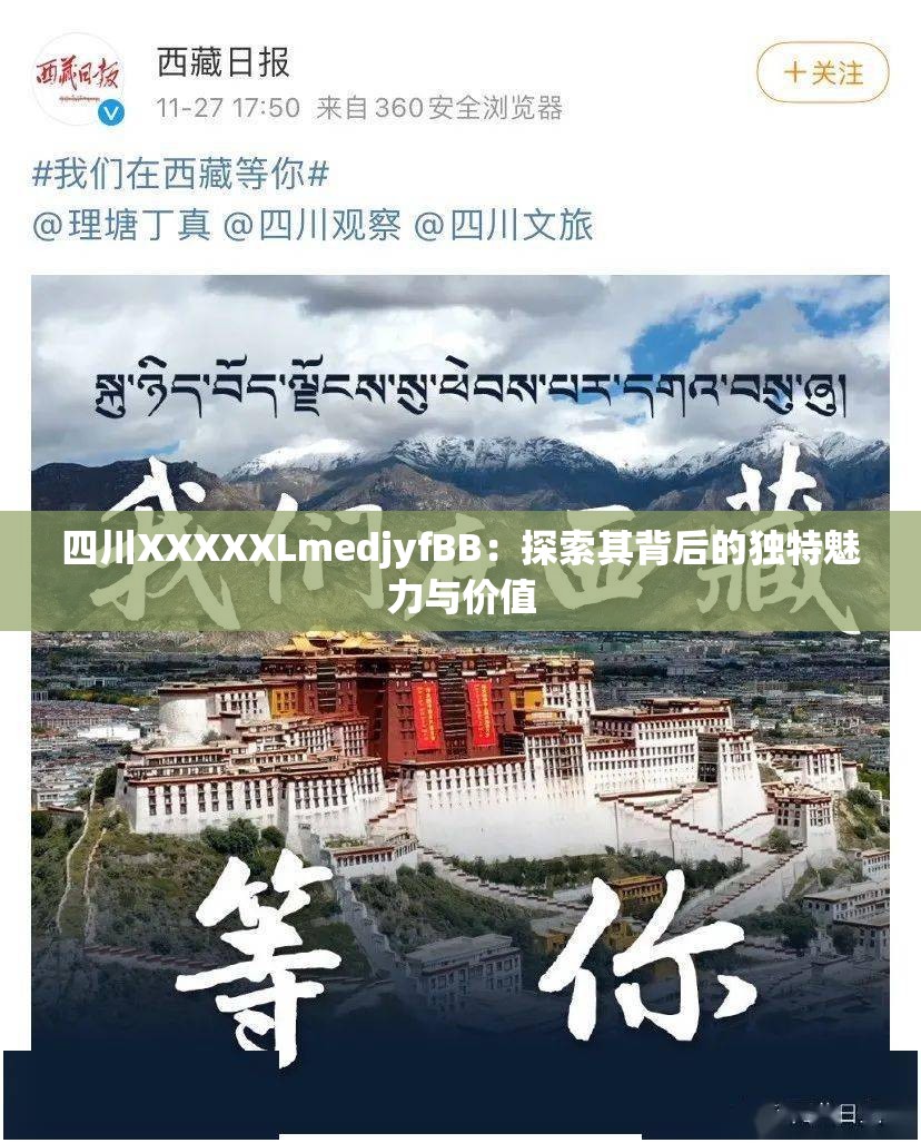 四川XXXXXLmedjyfBB：探索其背后的独特魅力与价值