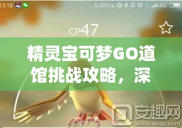 精灵宝可梦GO道馆挑战攻略，深入解析道馆系统玩法及其对资源管理的关键作用