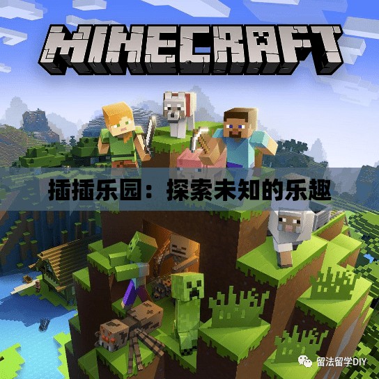 插插乐园：探索未知的乐趣