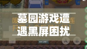 墓园游戏遭遇黑屏困扰？别担心，这里有专业妙招助你快速解决！