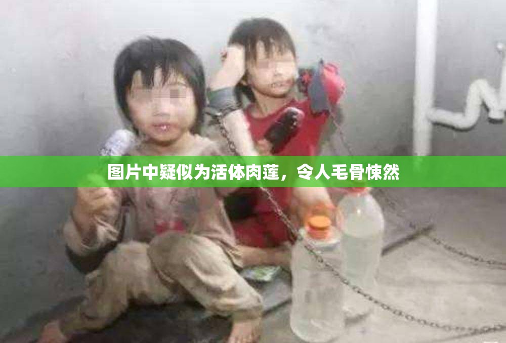 图片中疑似为活体肉莲，令人毛骨悚然