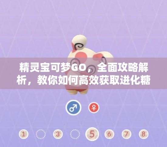 精灵宝可梦GO，全面攻略解析，教你如何高效获取进化糖果