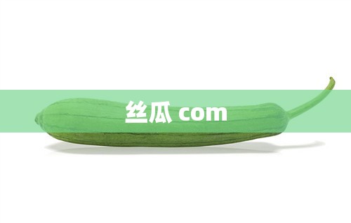 丝瓜 com