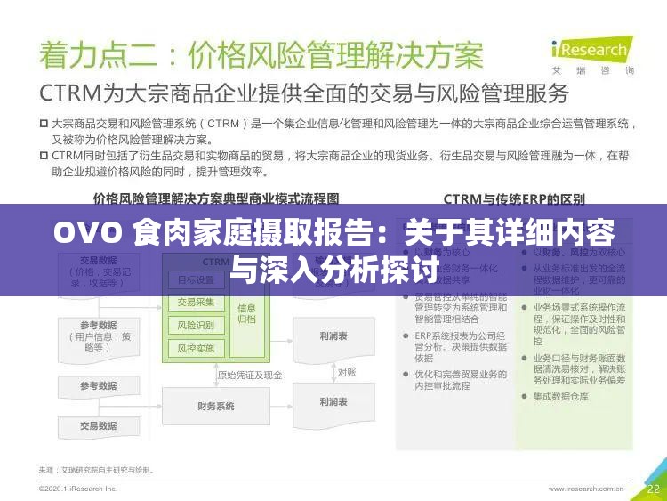 OVO 食肉家庭摄取报告：关于其详细内容与深入分析探讨