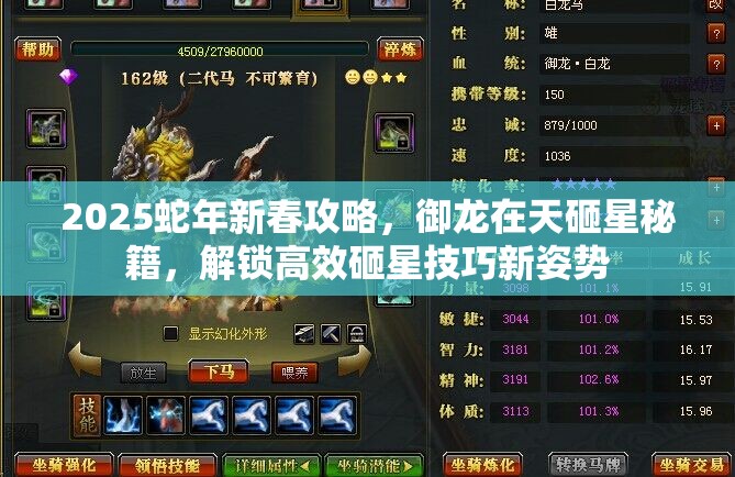 2025蛇年新春攻略，御龙在天砸星秘籍，解锁高效砸星技巧新姿势