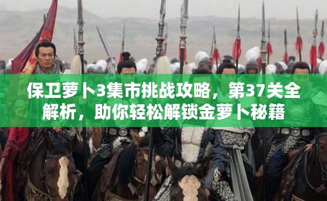 保卫萝卜3集市挑战攻略，第37关全解析，助你轻松解锁金萝卜秘籍