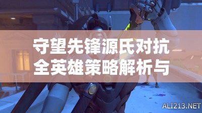 守望先锋源氏对抗全英雄策略解析与小技巧深度说明介绍