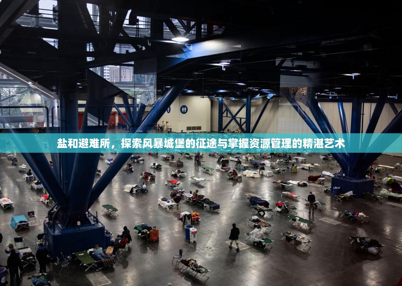 盐和避难所，探索风暴城堡的征途与掌握资源管理的精湛艺术
