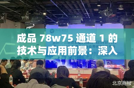 成品 78w75 通道 1 的技术与应用前景：深入探究及未来展望