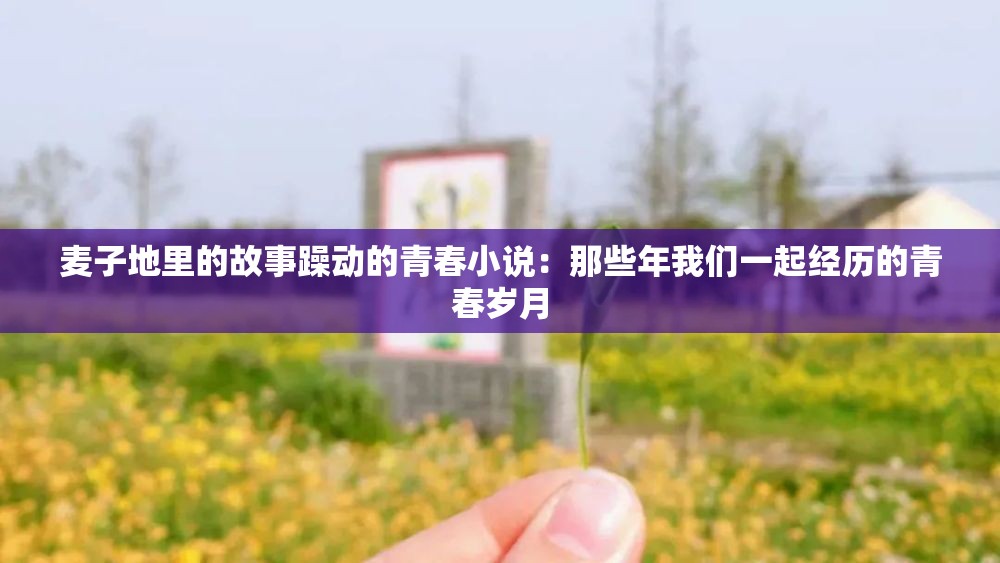 麦子地里的故事躁动的青春小说：那些年我们一起经历的青春岁月