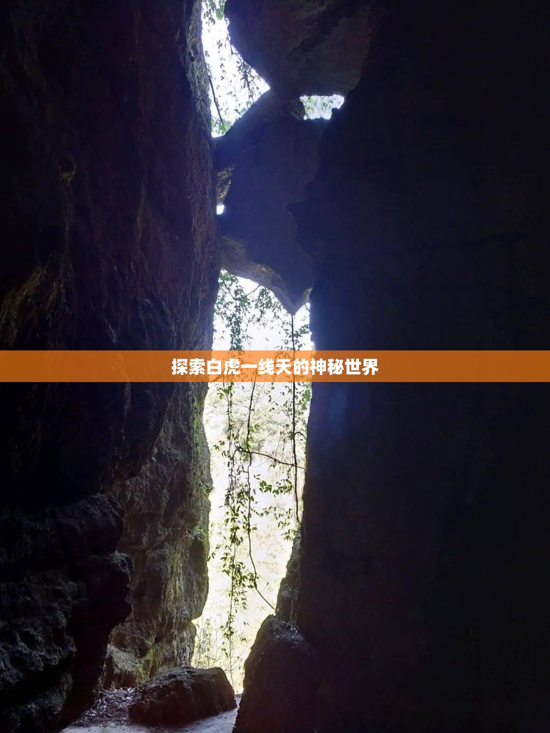 探索白虎一线天的神秘世界