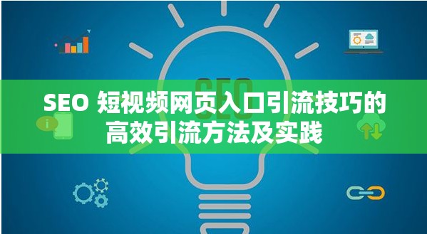 SEO 短视频网页入口引流技巧的高效引流方法及实践