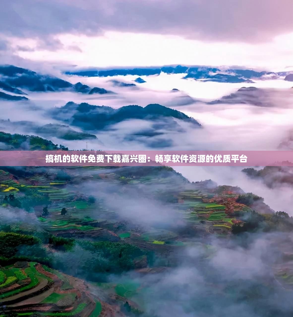 搞机的软件免费下载嘉兴圈：畅享软件资源的优质平台