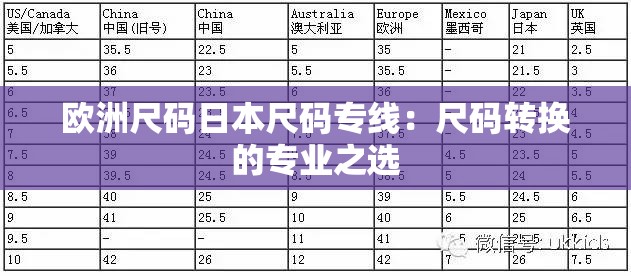 欧洲尺码日本尺码专线：尺码转换的专业之选