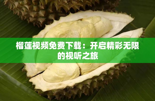 榴莲视频免费下载：开启精彩无限的视听之旅